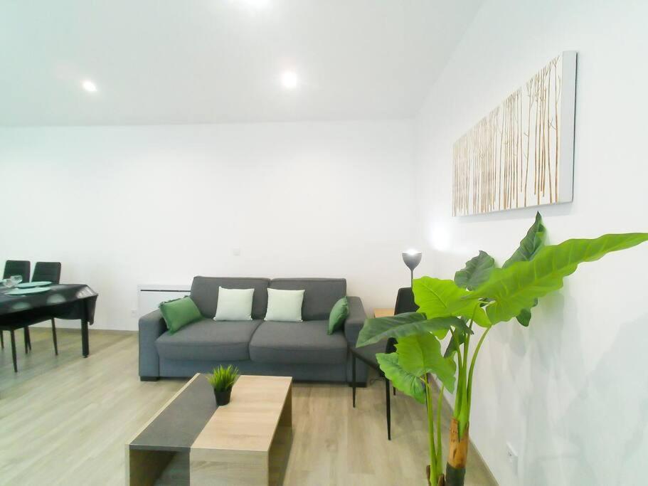 Appartement *douceur Des Tropiques*parisis *