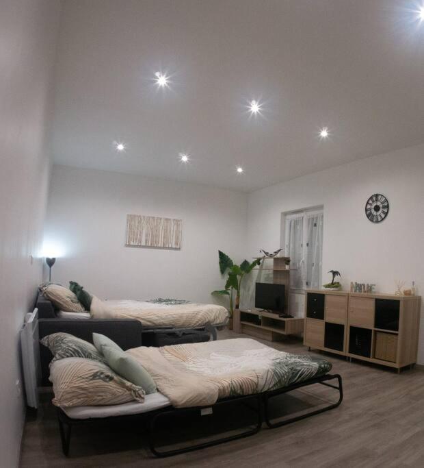 Appartement *douceur Des Tropiques*parisis Argenteuil